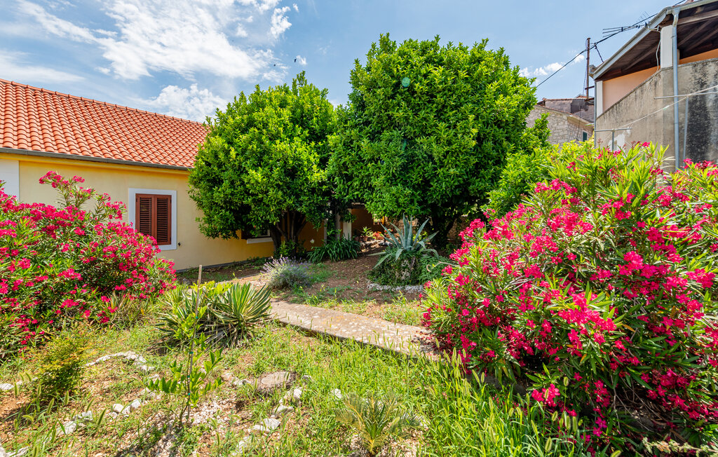 Lejlighed - Iz - Mali Iz , Kroatien - CDU538 13