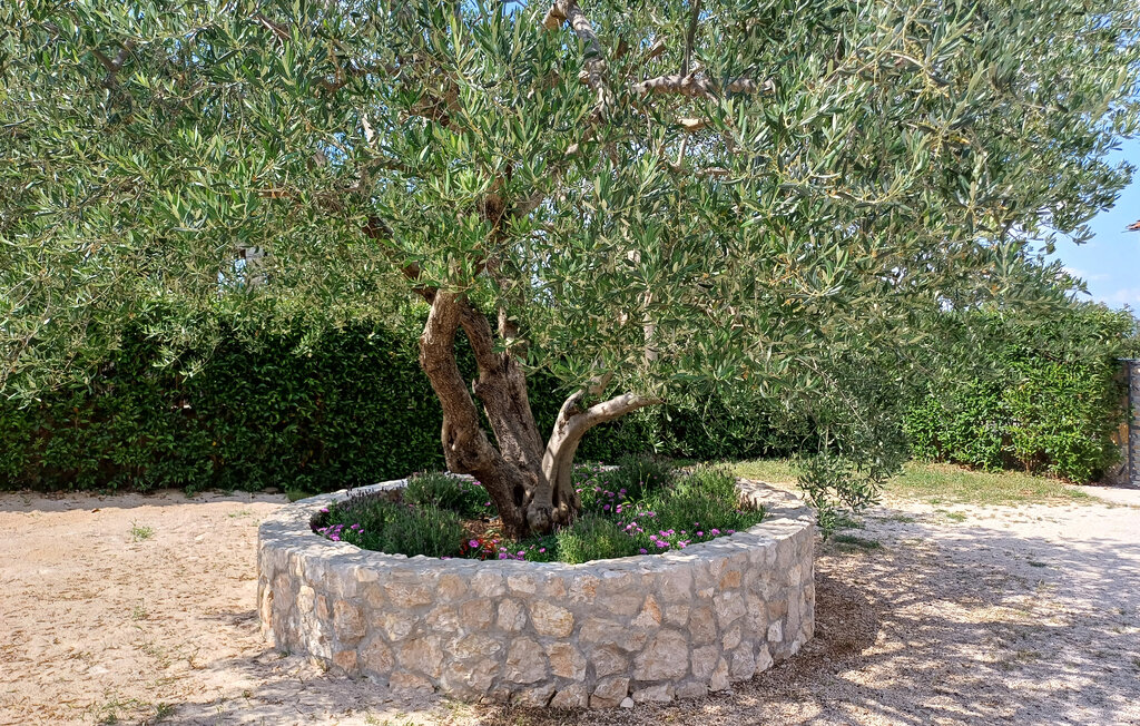 Ferienhaus - Pasman-Kraj , Kroatien - CDU327 6