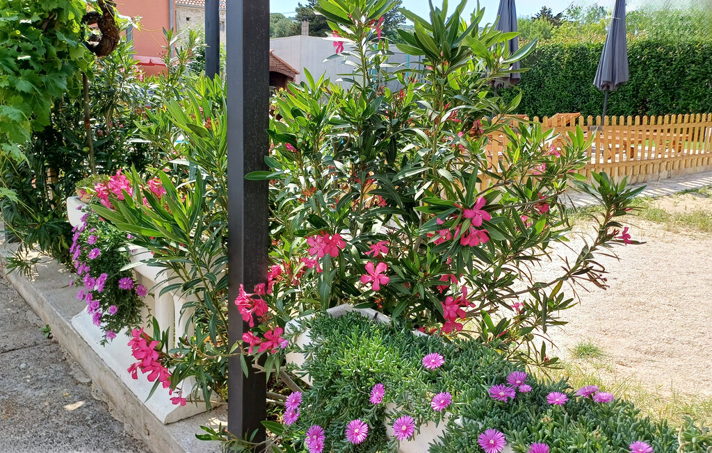 Ferienhaus - Pasman-Kraj , Kroatien - CDU327 7