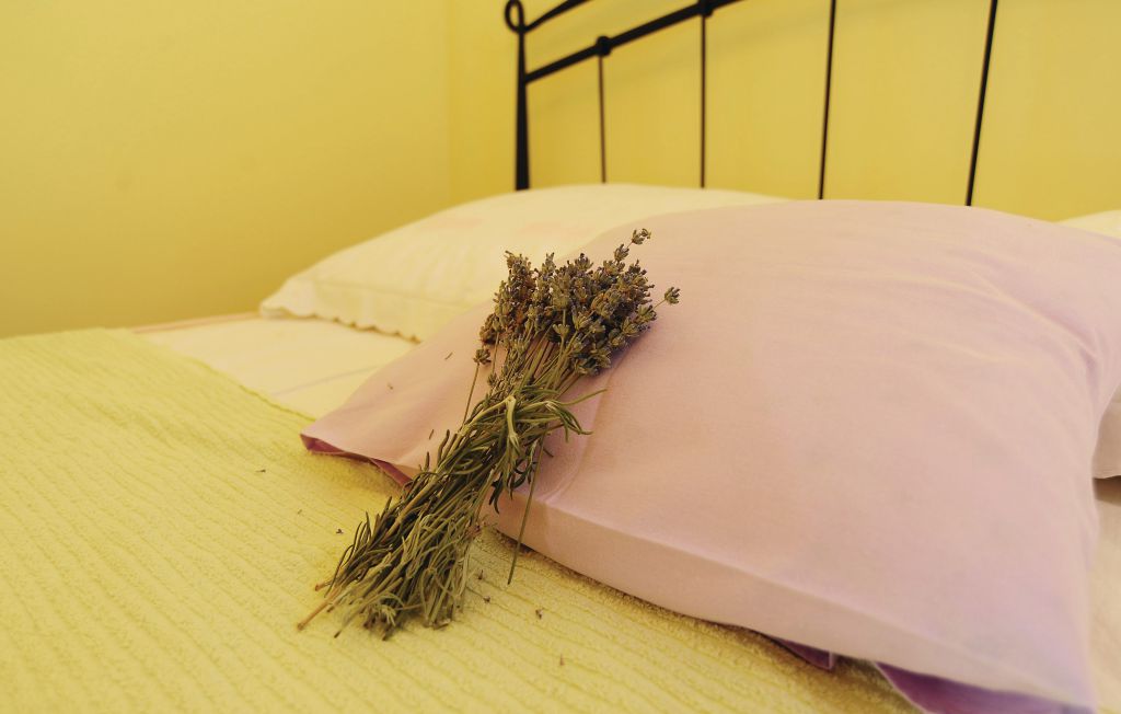 Ferienhaus - Sibenik-Trbounje , Kroatien - CDV678 53