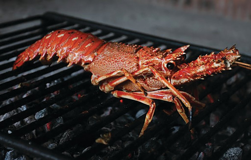 Ferienhaus - Rogoznica-Kanica , Kroatien - CDV787 17