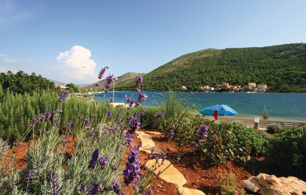 Semesterlägenhet - Sibenik-Grebastica , Kroatien - CDV664 3