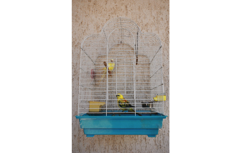 Ferienwohnung - Vodice , Kroatien - CDV894 28