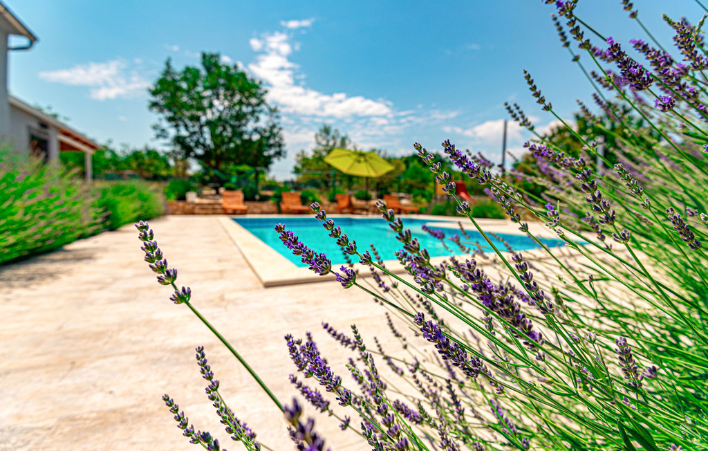 Ferienhaus - Sibenik-Pakovo Selo , Kroatien - CDV791 12