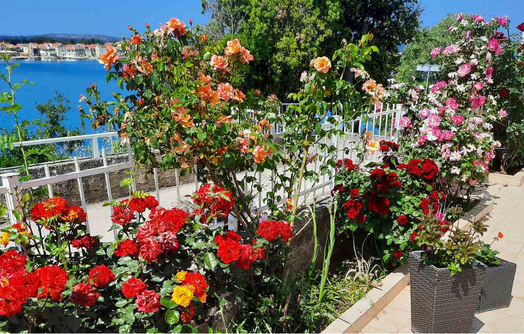 Lejlighed - Sibenik-Brodarica , Kroatien - CDV377 5