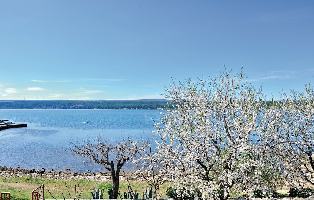 Ferieleilighet - Zadar-Krusevo , Kroatia - CDZ834 16