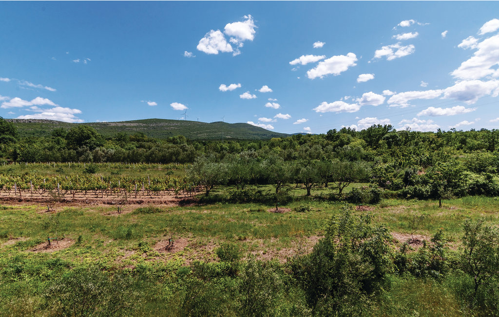 Lejlighed - Zadar-Krusevo , Kroatien - CDZ950 11