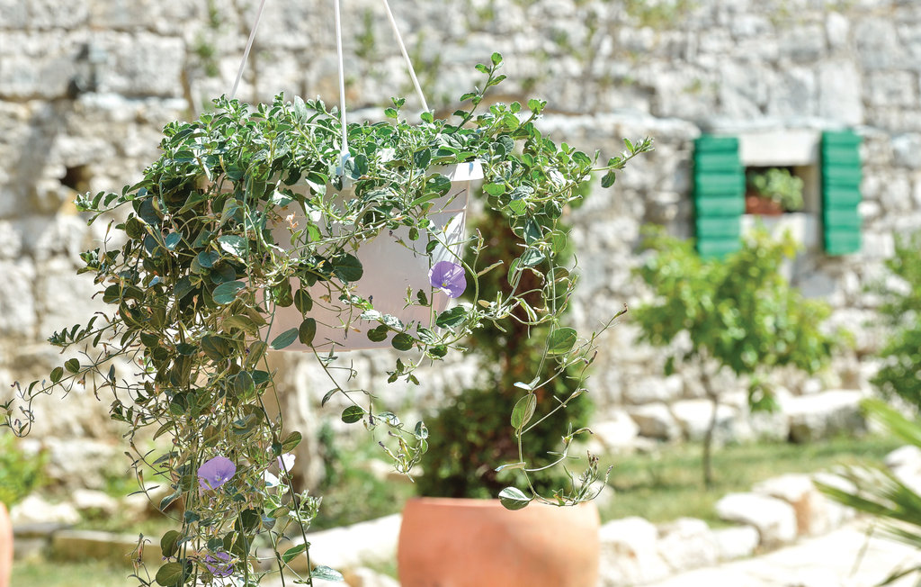 Ferienhaus - Biograd-Pakostane , Kroatien - CDZ575 23