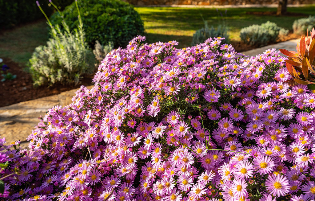 Ferienhaus - Zadar-Gorica , Kroatien - CDZ755 23