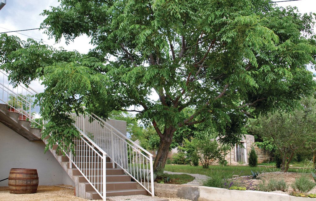 Semesterhus - Zadar-Slivnica Gornja , Kroatien - CDZ646 9