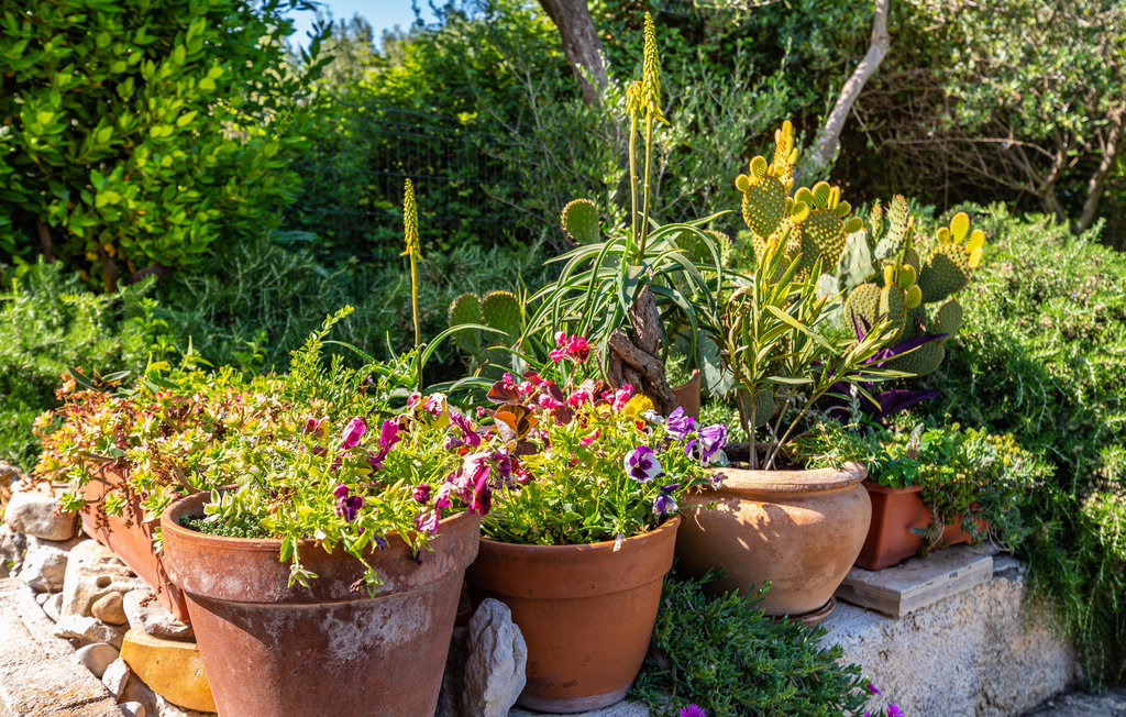 Feriehuse - Zadar-Bibinje , Kroatien - CDZ758 16