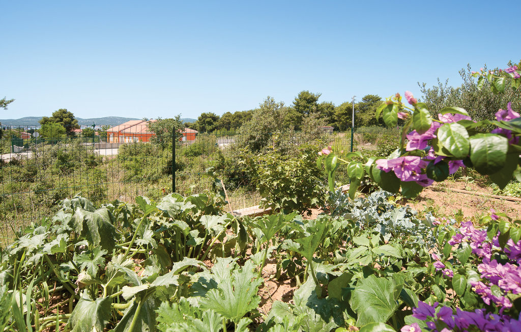 Ferienwohnung - Biograd , Kroatien - CDZ928 15