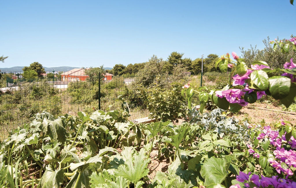 Lejlighed - Biograd , Kroatien - CDZ930 7