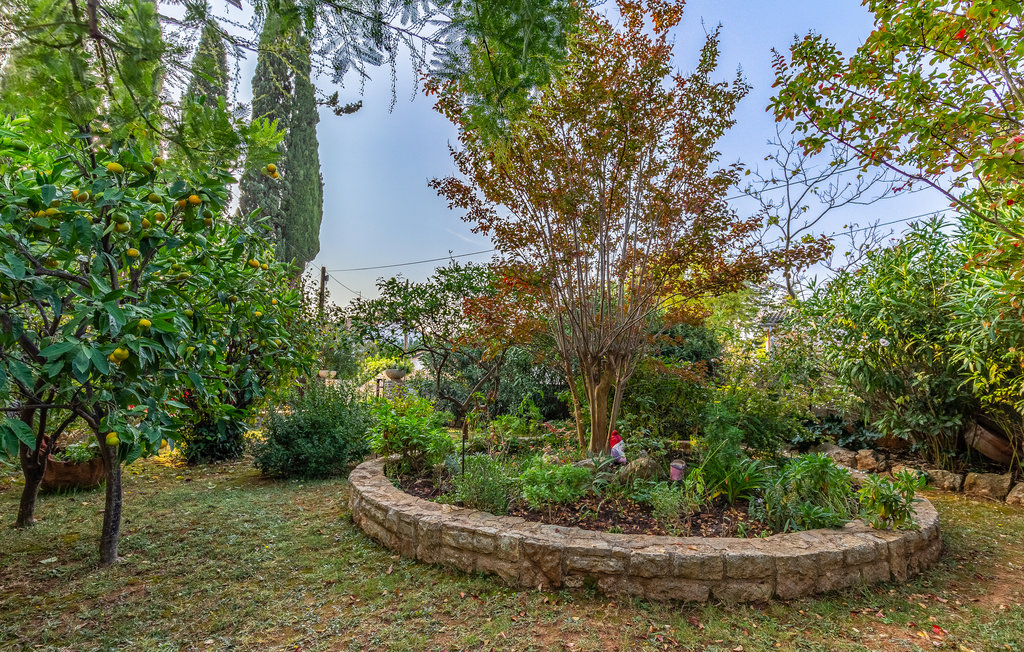 Lejlighed - Premantura , Kroatien - CIA261 11