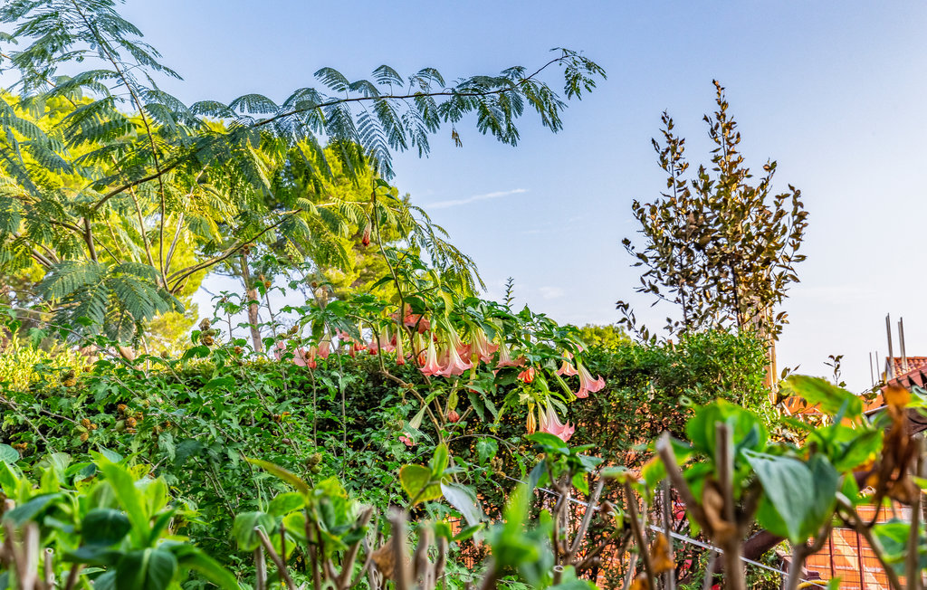 Ferieleilighet - Premantura , Kroatia - CIA260 12