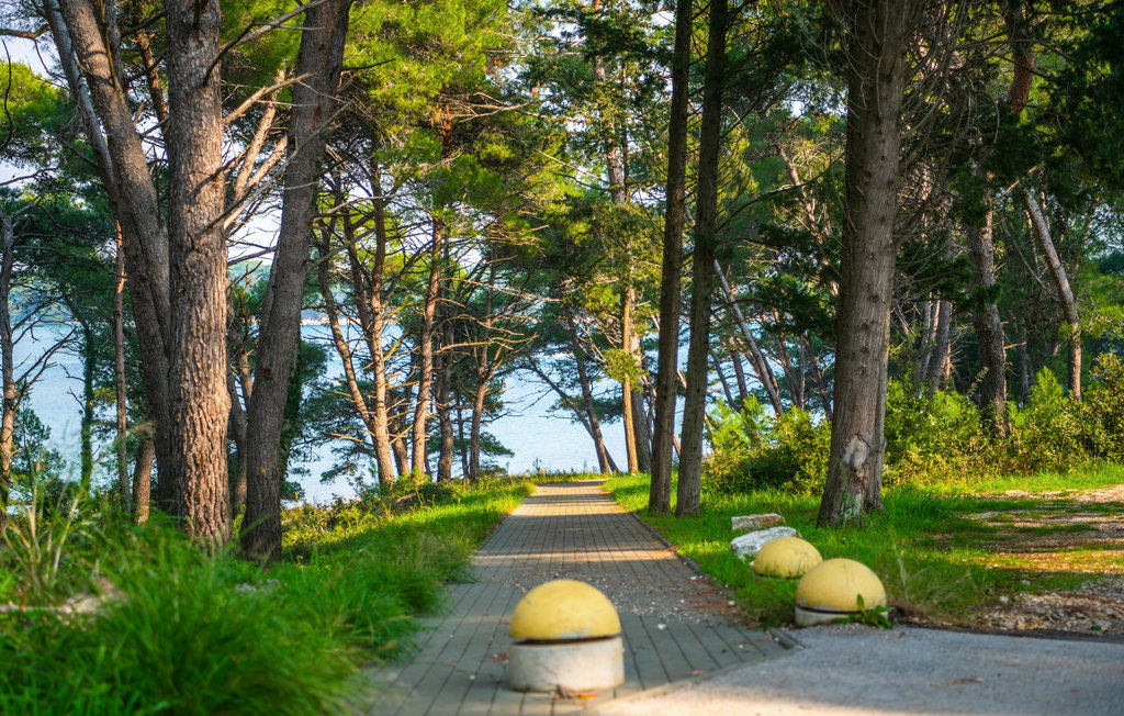 Ferienwohnung - Premantura , Kroatien - CIA335 6