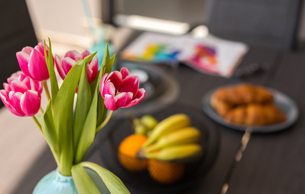 Feriehus - Premantura , Kroatia - CIA246 11