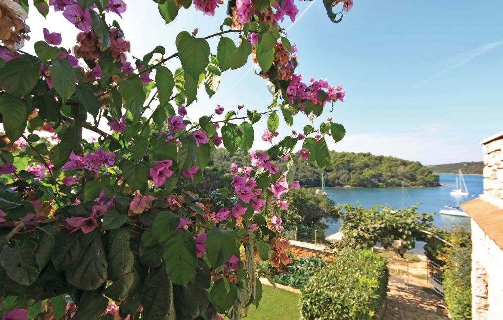 Ferieleilighet - Banjole , Kroatia - CIB104 12