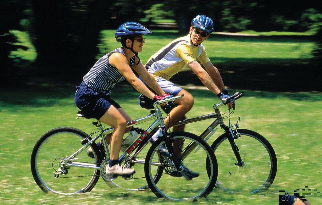 Feriehus - Barban-Filipana , Kroatia - CIC319 30