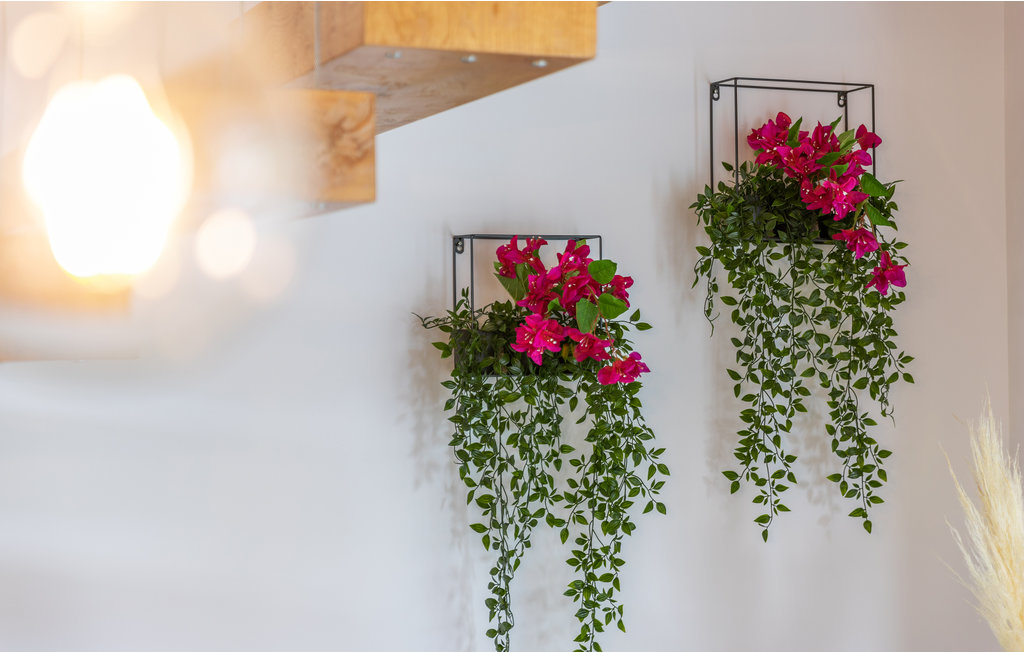 Feriehuse - Zminj-Sivati , Kroatien - CIC985 42