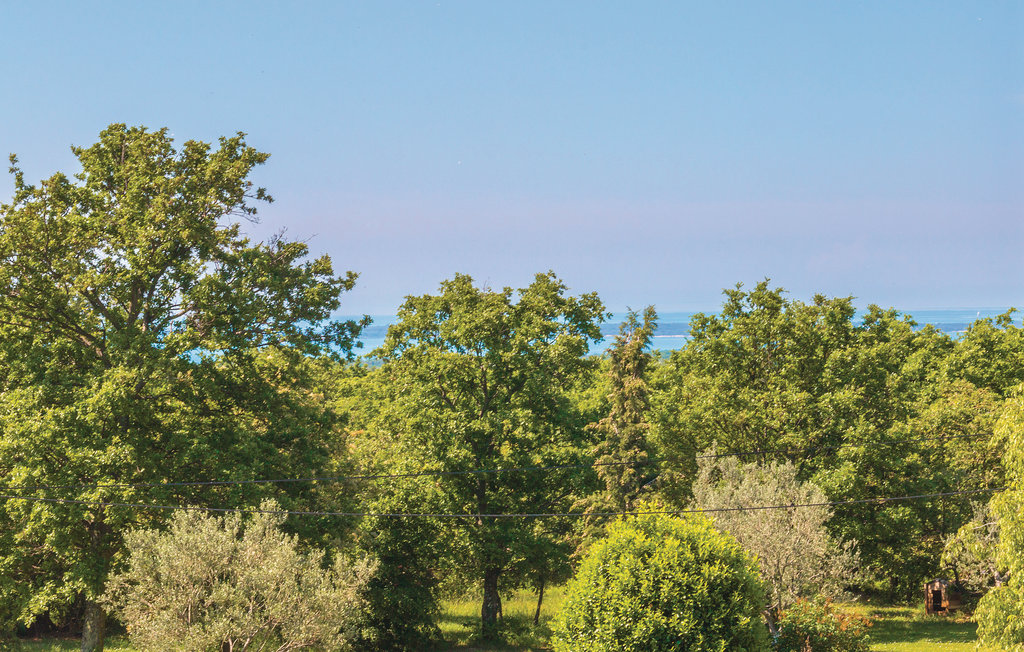 Feriehuse - Vodnjan-Gajana , Kroatien - CIC449 26