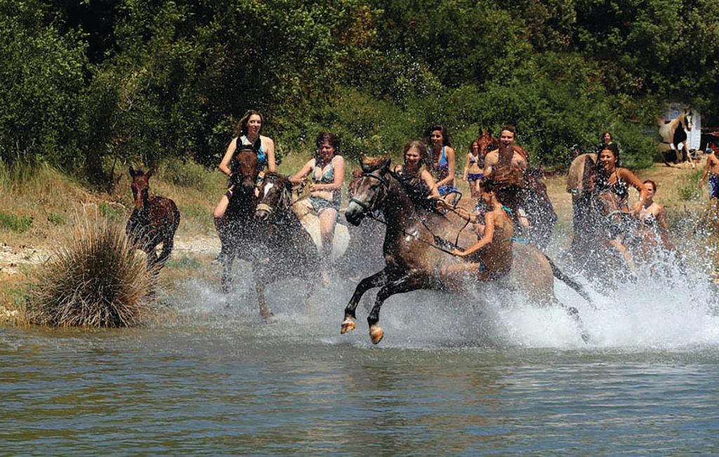Feriehuse - Barban-Filipana , Kroatien - CIC105 50