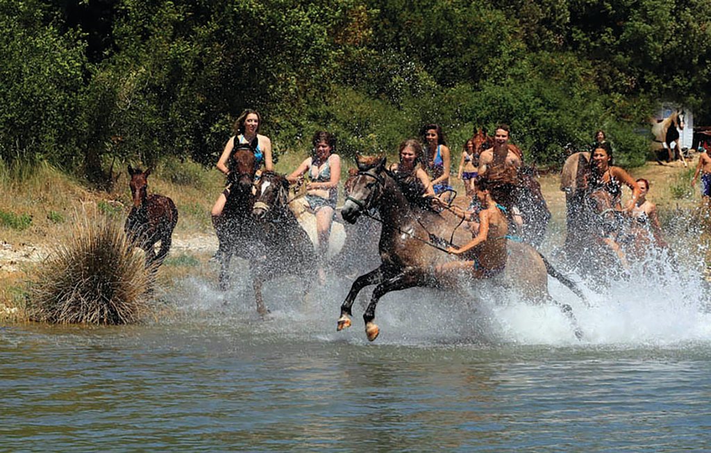 Ferieleilighet - Barban-Manjadvorci , Kroatia - CIC455 29