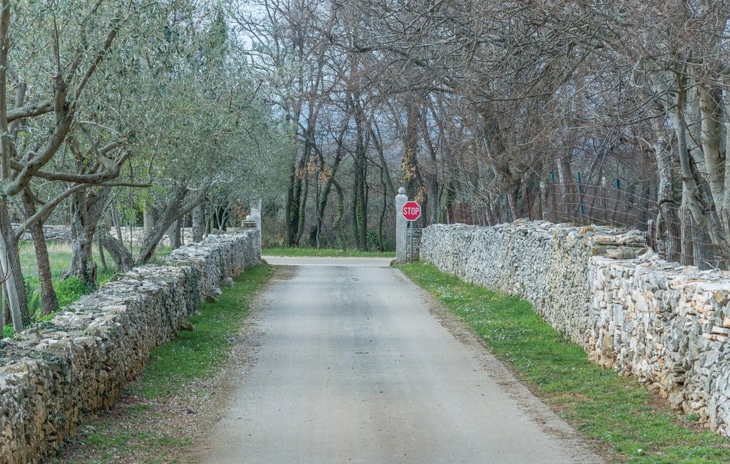 Ferieleilighet - Vodnjan-Gajana , Kroatia - CIC569 16