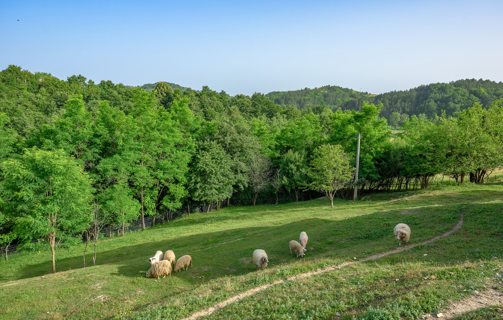 Ferieleilighet - Pazin-Cerovlje , Kroatia - CIC713 18