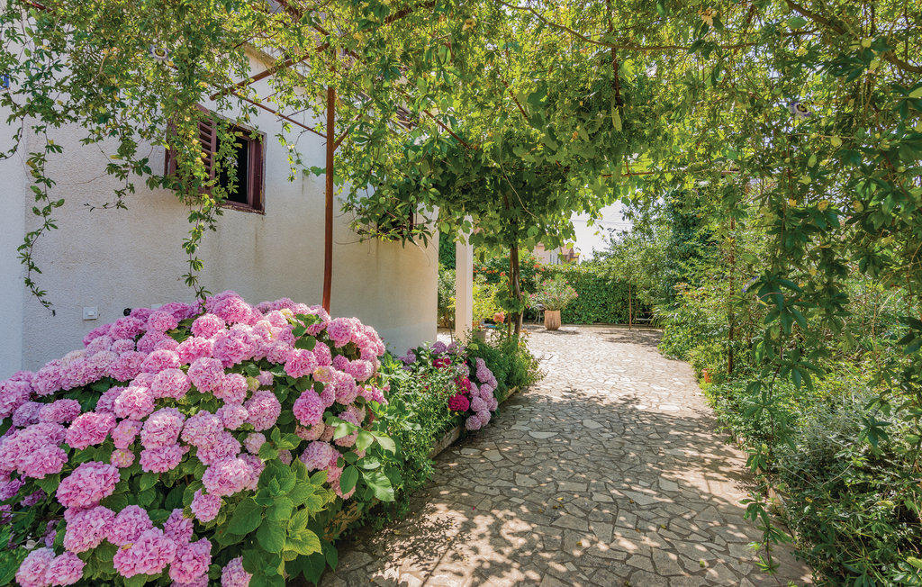 Lejlighed - Vodnjan , Kroatien - CIC185 16