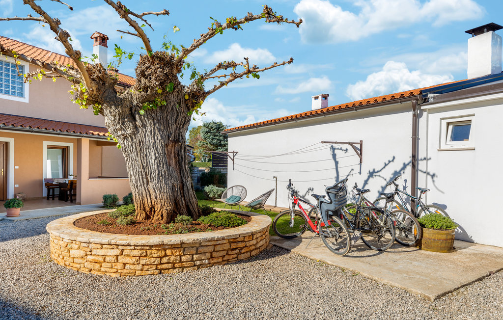 Feriehuse - Svetvincenat-Pusti , Kroatien - CIC087 13