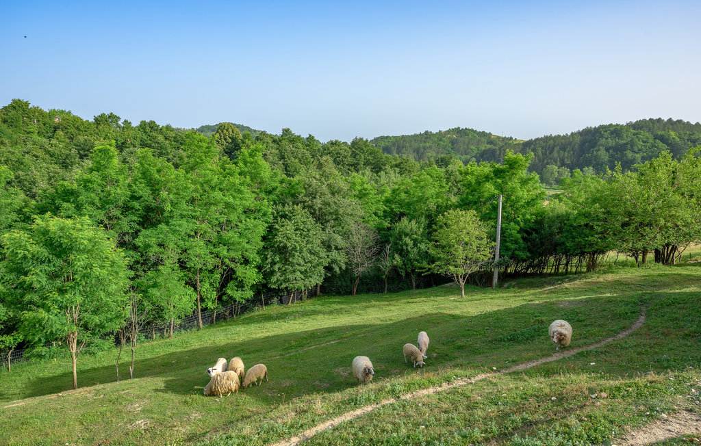 Ferieleilighet - Pazin-Cerovlje , Kroatia - CIC714 22