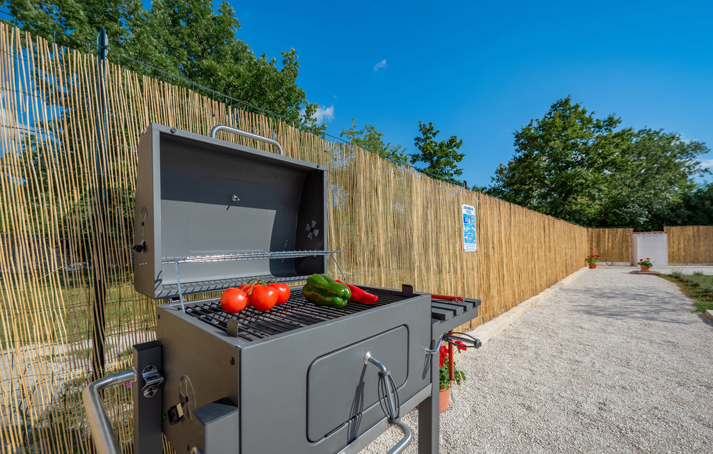 Feriehuse - Svetvincenat-Brscici , Kroatien - CIC077 17