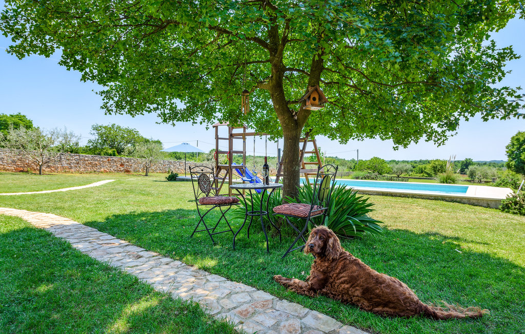 Semesterhus - Svetvincenat-Cukrici , Kroatien - CIC511 24