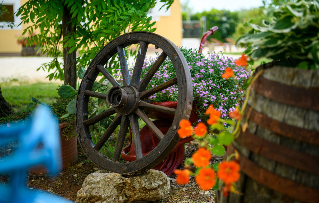 Feriehus - Svetvincenat-Bijazici , Kroatia - CIC735 19