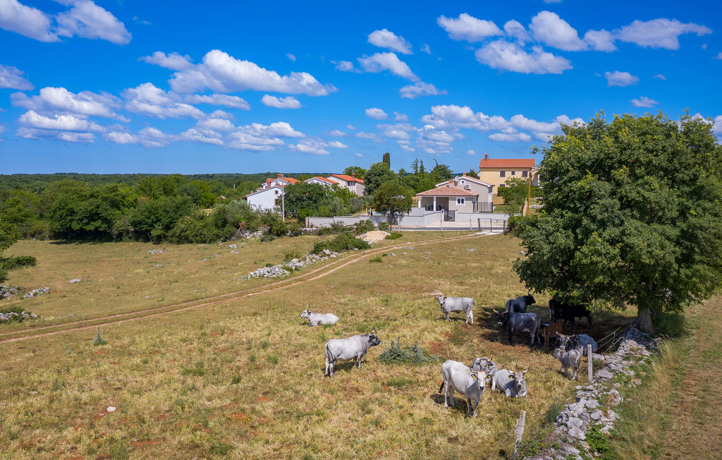 Feriehus - Barban-Orihi , Kroatia - CIC076 15