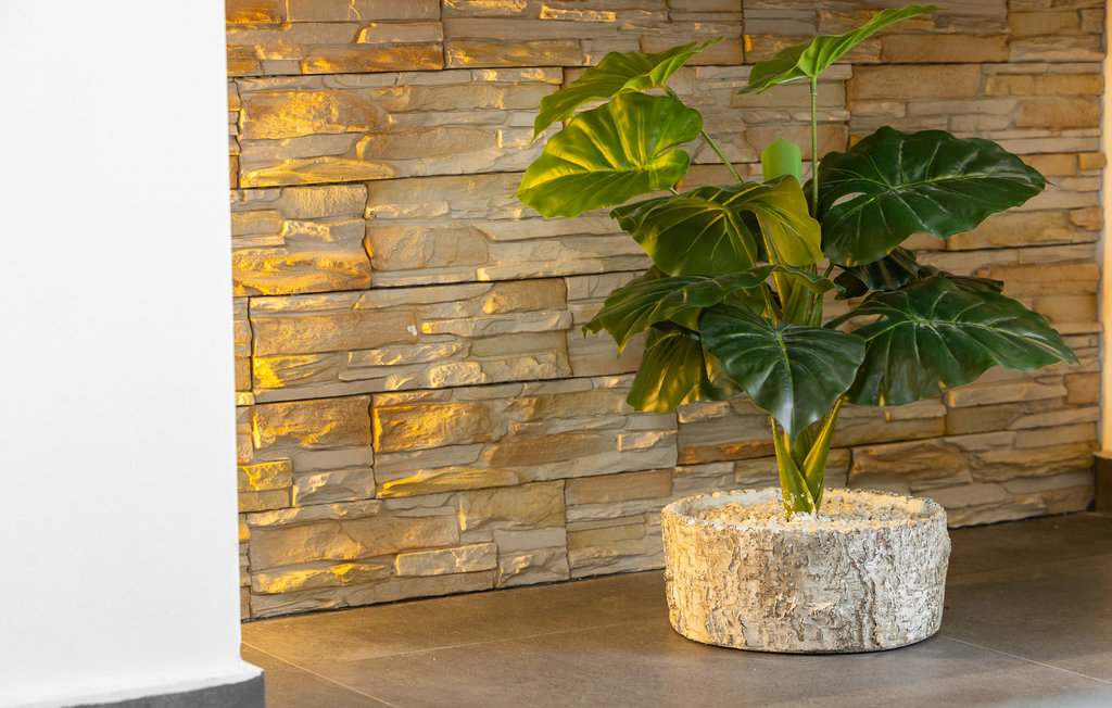 Ferienwohnung - Porec-Cervar Porat , Kroatien - CIE824 13