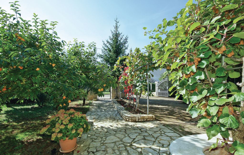 Ferieleilighet - Porec-Brcici , Kroatia - CIE263 5