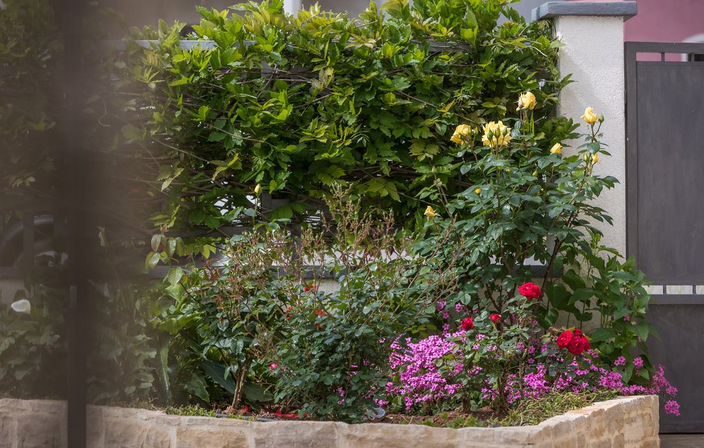 Feriehus - Porec - Dracevac , Kroatia - CIE066 13