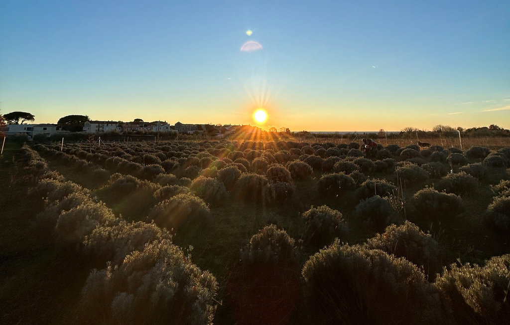 Feriehus - Porec-Cervar , Kroatia - CIE899 18