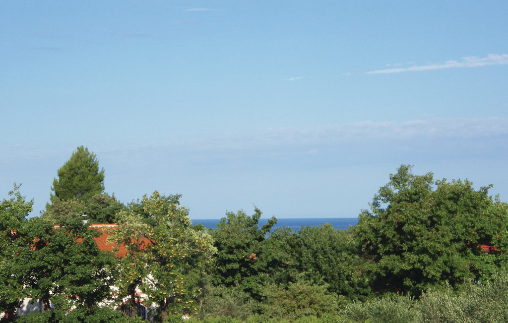 Feriehus - Fazana-Peroj , Kroatia - CIF535 18