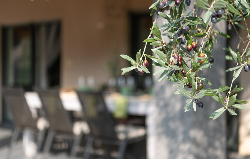 Feriehuse - Fazana , Kroatien - CIF929 14