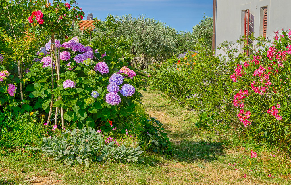 Semesterlägenhet - Fazana , Kroatien - CIF933 13