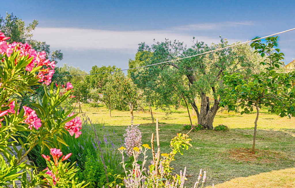 Semesterlägenhet - Fazana , Kroatien - CIF933 11