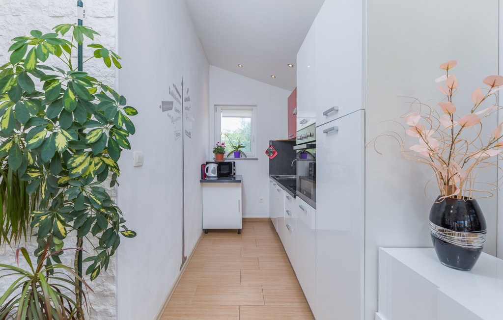 Semesterhus - Fazana , Kroatien - CIF635 19