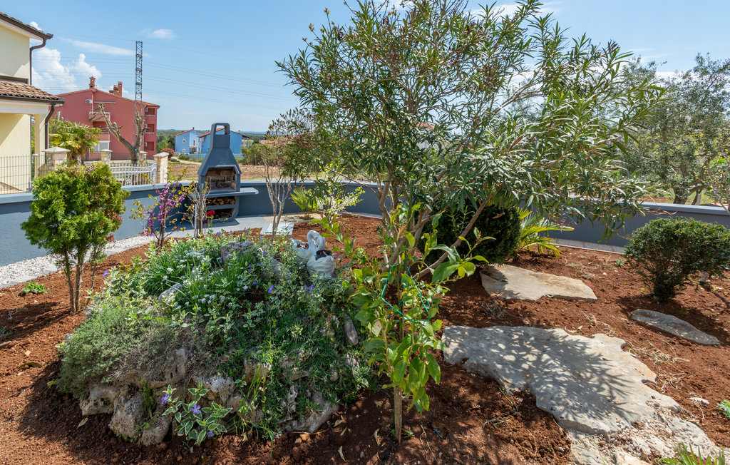 Ferieleilighet - Barbariga-Betiga , Kroatia - CIF518 7