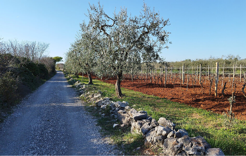 Ferienhaus - Fazana , Kroatien - CIF965 12