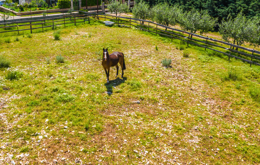 Ferienwohnung - Krnica , Kroatien - CIK135 7