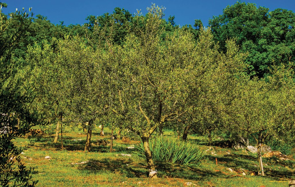 Feriehus - Labin-Trget , Kroatia - CIK307 12