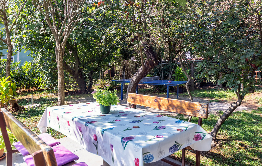 Feriehus - Labin-Vinez , Kroatia - CIK308 16